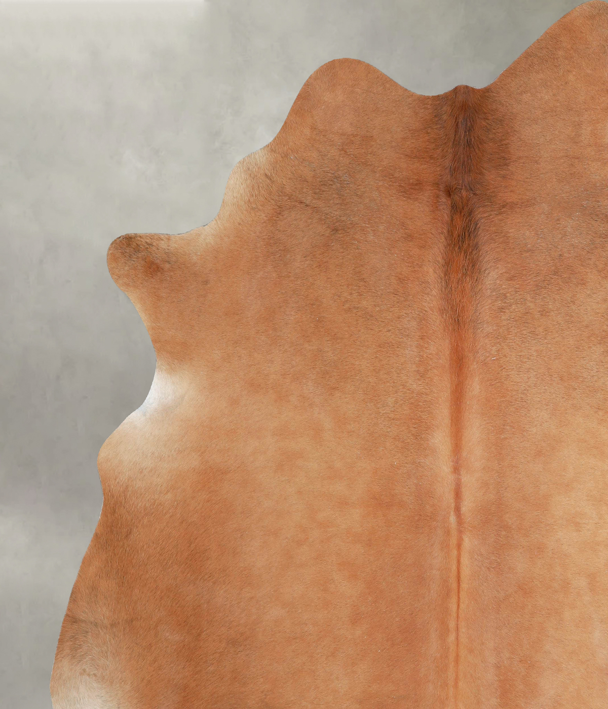 Solid Brown X-Large Brazilian Cowhide Rug 7'5"H x 6'8"W #A53548 by Hudson Hides