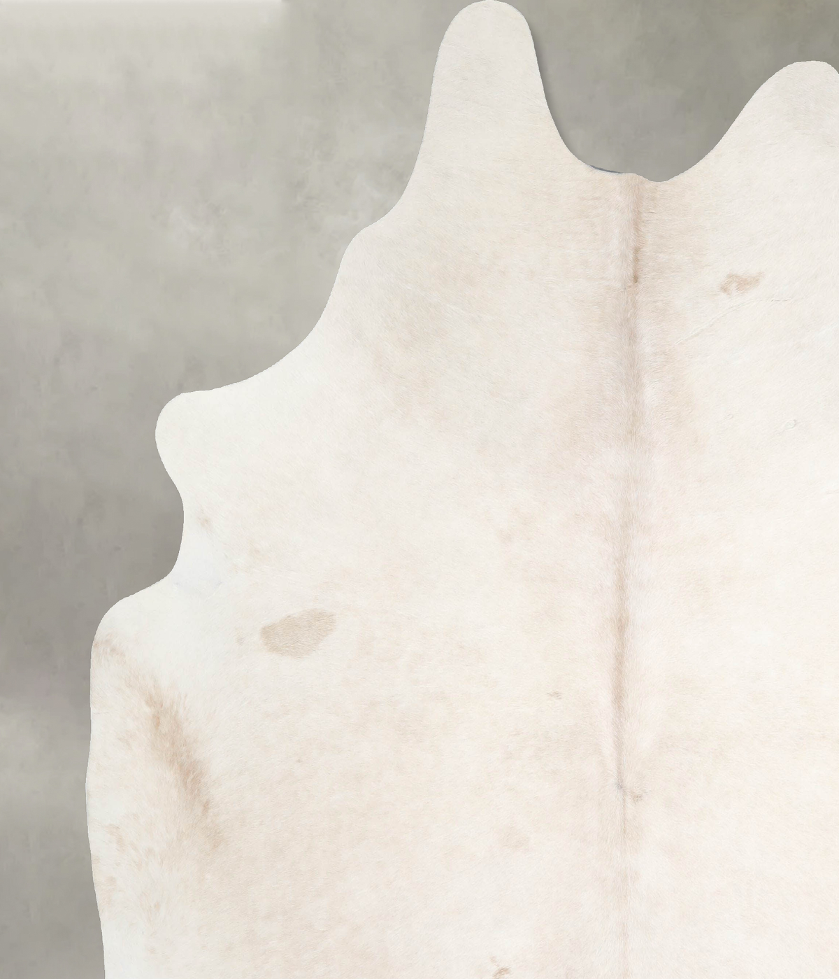 Ivory with Beige XX-Large Brazilian Cowhide Rug 7'8"H x 7'1"W #A53551 by Hudson Hides