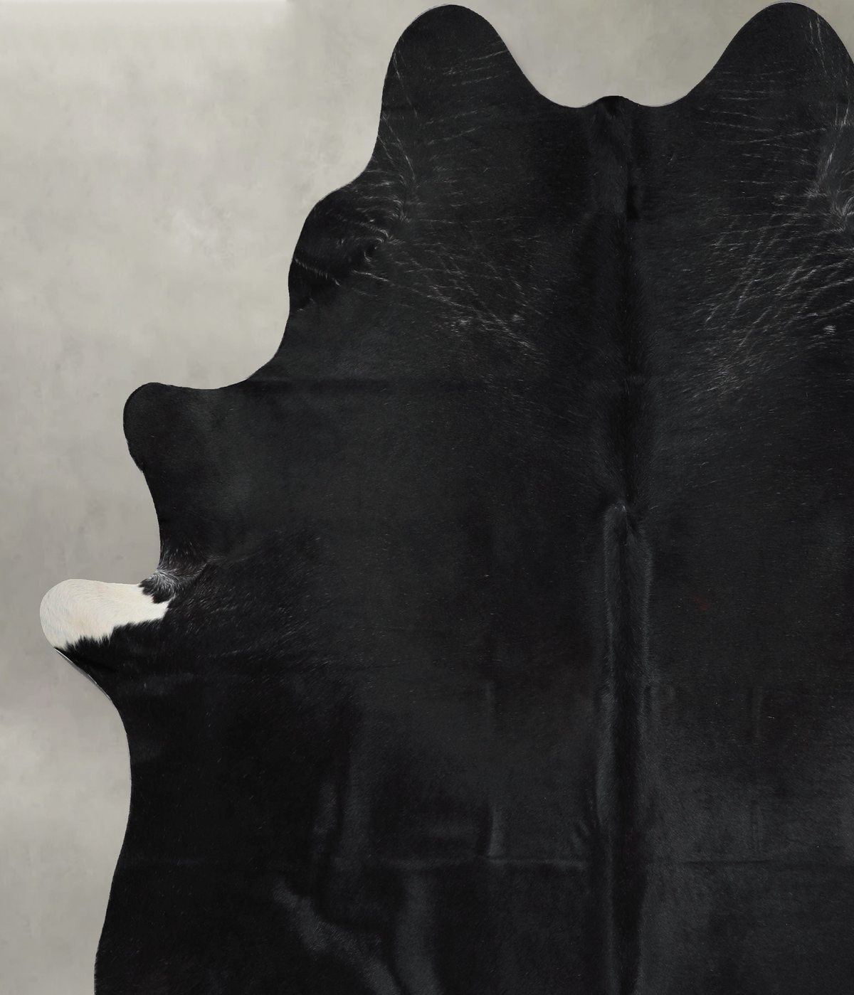 Solid Black XX-Large Brazilian Cowhide Rug 8'9"H x 7'5"W #A53555 by Hudson Hides