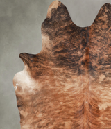 Medium Brindle XX-Large Brazilian Cowhide Rug 7'7"H x 6'10"W #A53565 by Hudson Hides
