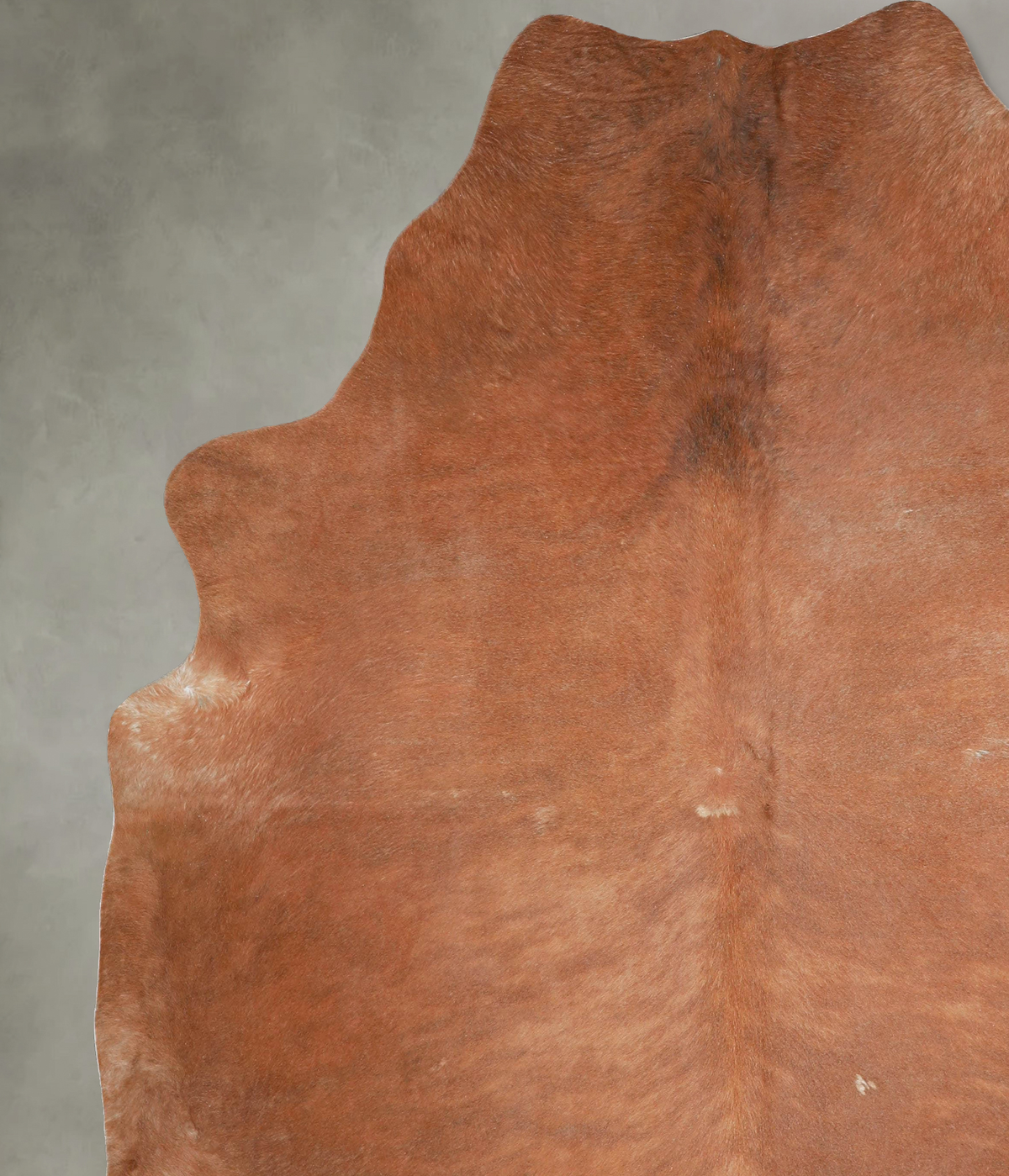 Solid Brown XX-Large Brazilian Cowhide Rug 8'0"H x 7'3"W #A53566 by Hudson Hides