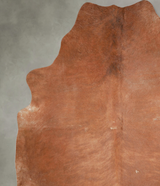 Solid Brown XX-Large Brazilian Cowhide Rug 8'0"H x 7'3"W #A53566 by Hudson Hides
