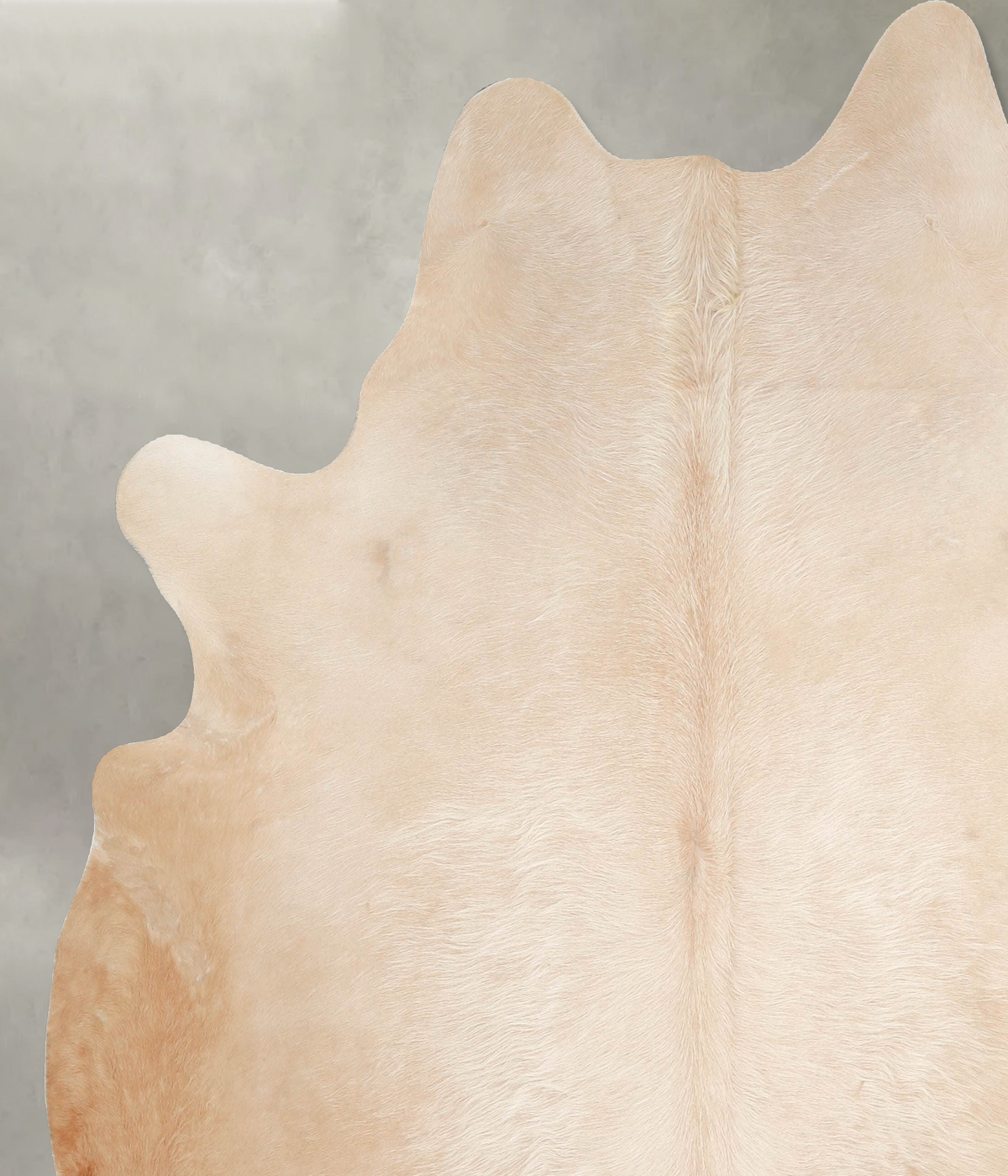 Palomino XX-Large Brazilian Cowhide Rug 7'4"H x 6'10"W #A53567 by Hudson Hides