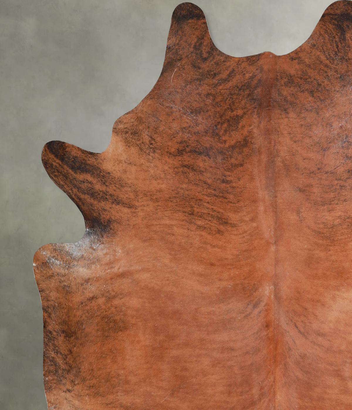 Medium Brindle XX-Large Brazilian Cowhide Rug 7'8"H x 6'11"W #A53568 by Hudson Hides