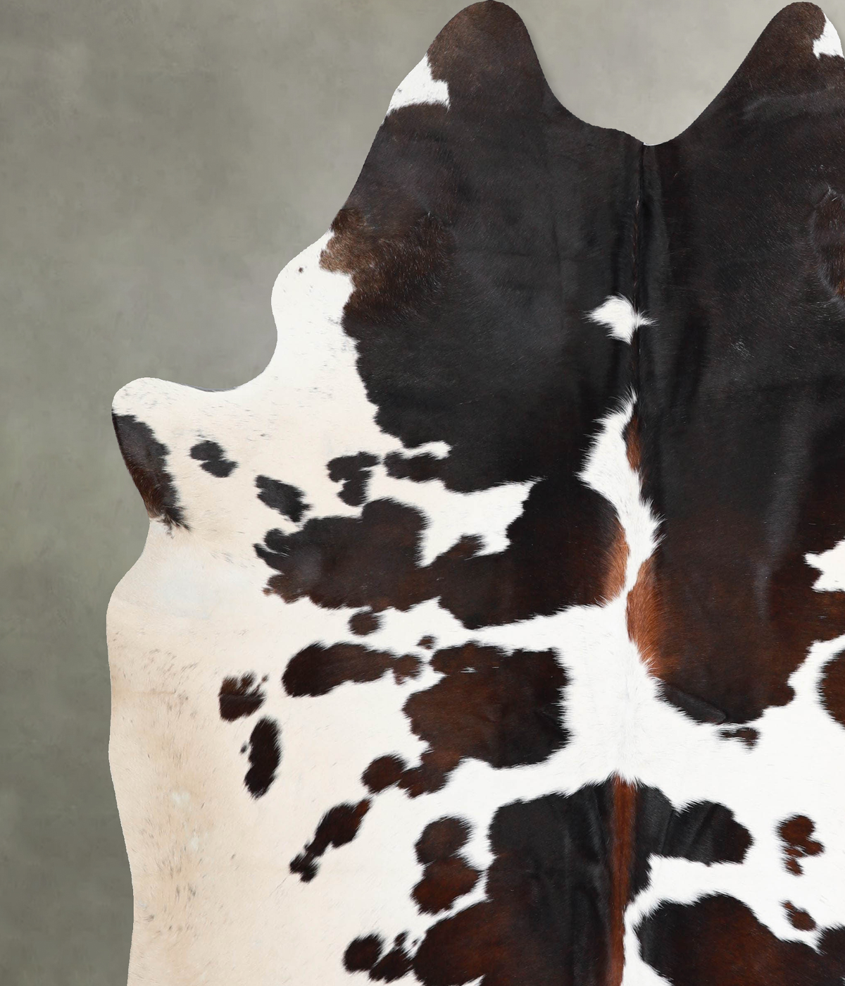 Chocolate and White X-Large Brazilian Cowhide Rug 7'6"H x 6'4"W #A53571 by Hudson Hides