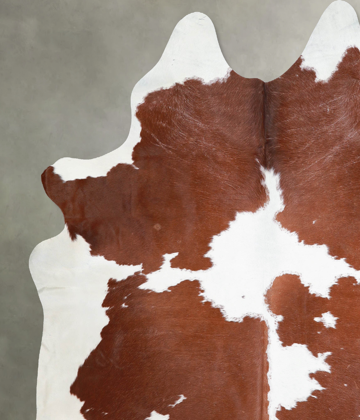 Brown and White XX-Large Brazilian Cowhide Rug 7'10"H x 7'1"W #A53578 by Hudson Hides