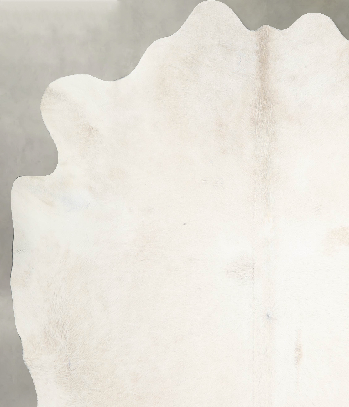 Ivory with Beige XX-Large Brazilian Cowhide Rug 7'8"H x 7'0"W #A53582 by Hudson Hides