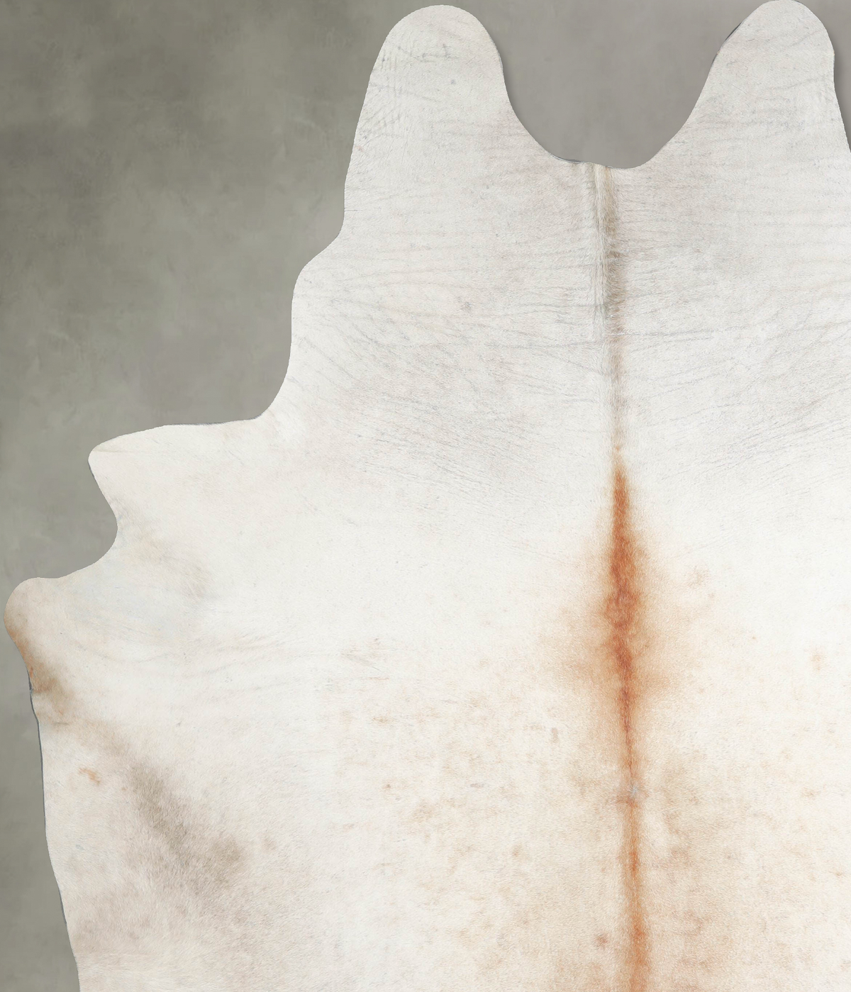 Ivory with Beige XX-Large Brazilian Cowhide Rug 9'0"H x 7'3"W #A53583 by Hudson Hides