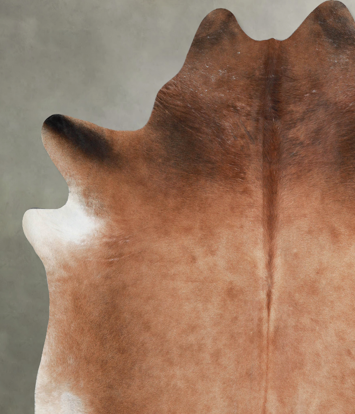 Light Caramel XX-Large Brazilian Cowhide Rug 8'5"H x 7'4"W #A53585 by Hudson Hides