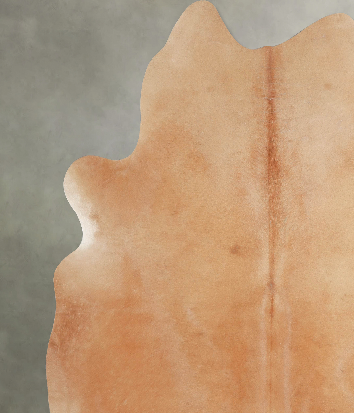 Solid Brown XX-Large Brazilian Cowhide Rug 7'9"H x 6'8"W #A53587 by Hudson Hides