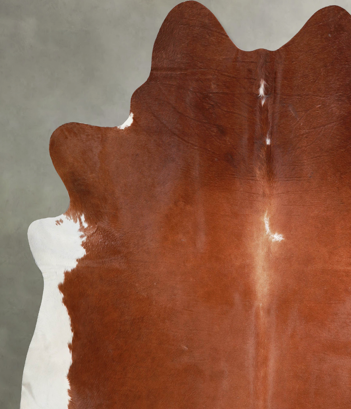 Brown and White Regular XX-Large Brazilian Cowhide Rug 7'7"H x 7'2"W #A53595 by Hudson Hides