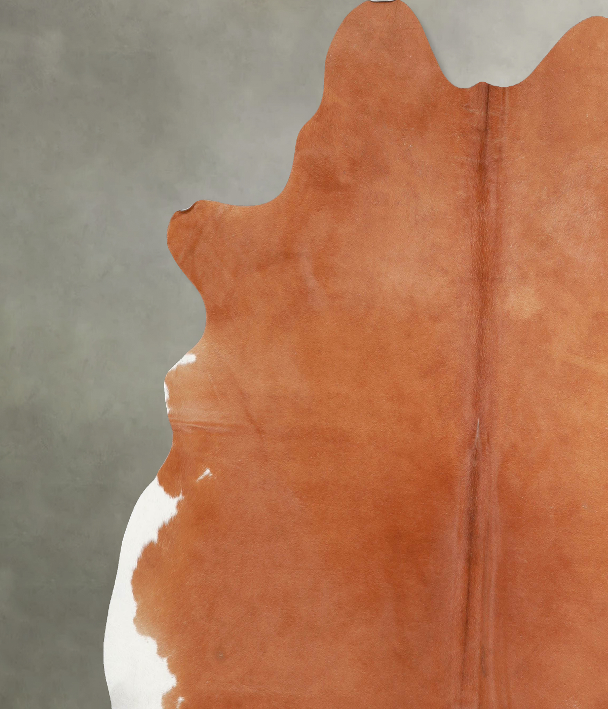 Solid Brown XX-Large Brazilian Cowhide Rug 7'3"H x 7'1"W #A53596 by Hudson Hides