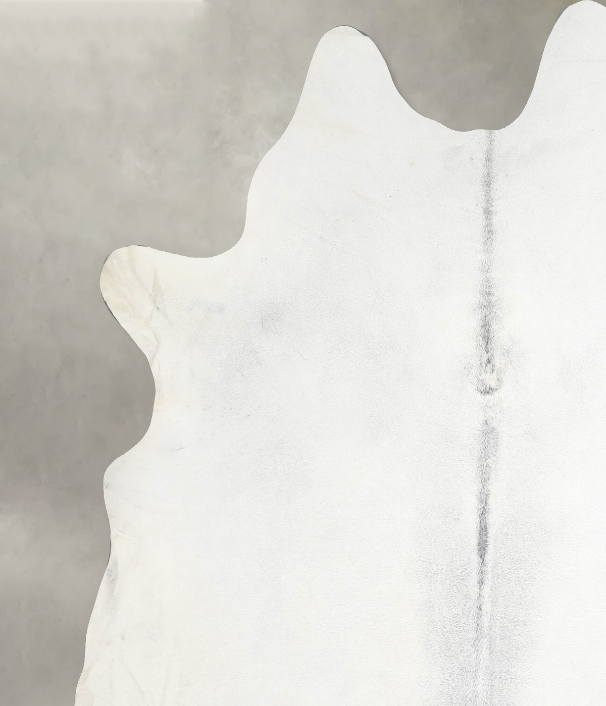 Light Grey XX-Large Brazilian Cowhide Rug 8'5"H x 7'9"W #A53601 by Hudson Hides