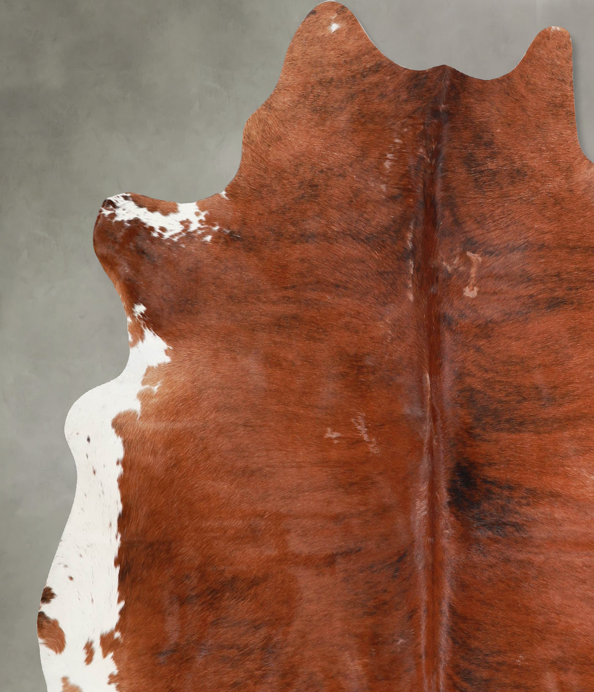 Medium Brindle X-Large Brazilian Cowhide Rug 7'0"H x 6'7"W #A53604 by Hudson Hides