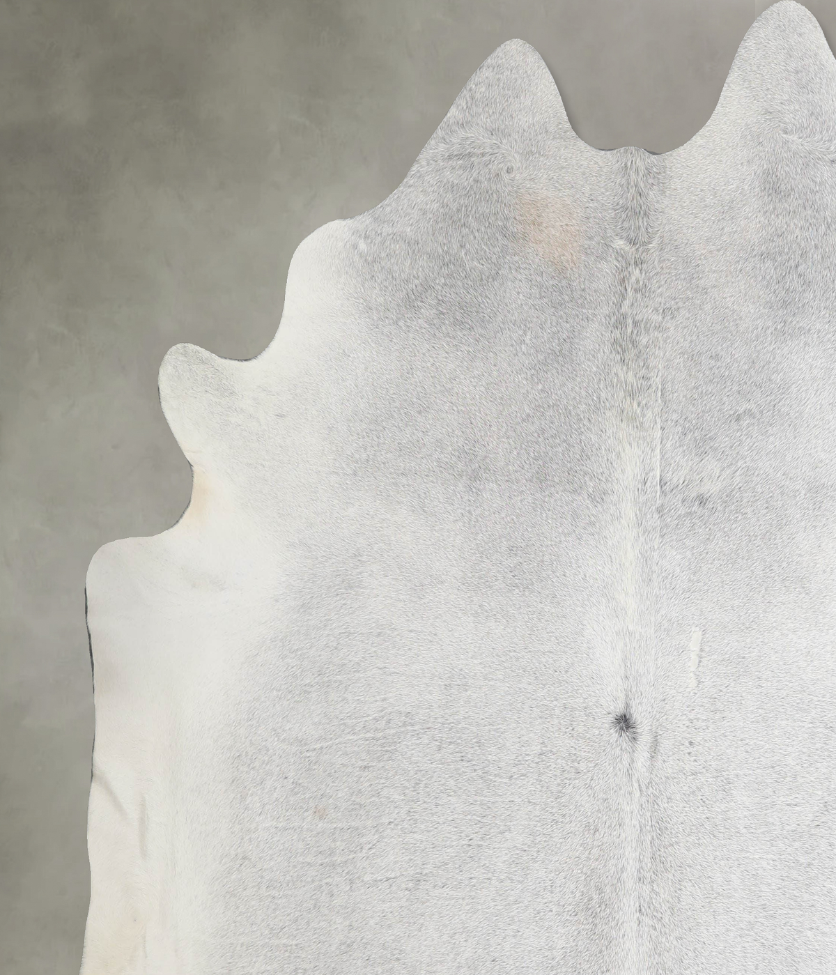 Medium Grey XX-Large Brazilian Cowhide Rug 7'4"H x 6'11"W #A53608 by Hudson Hides