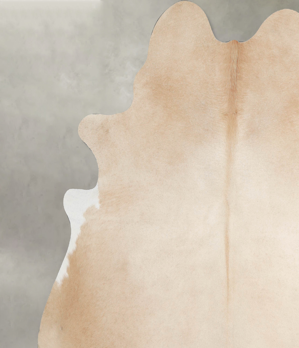 Palomino XX-Large Brazilian Cowhide Rug 7'4"H x 6'10"W #A53620 by Hudson Hides