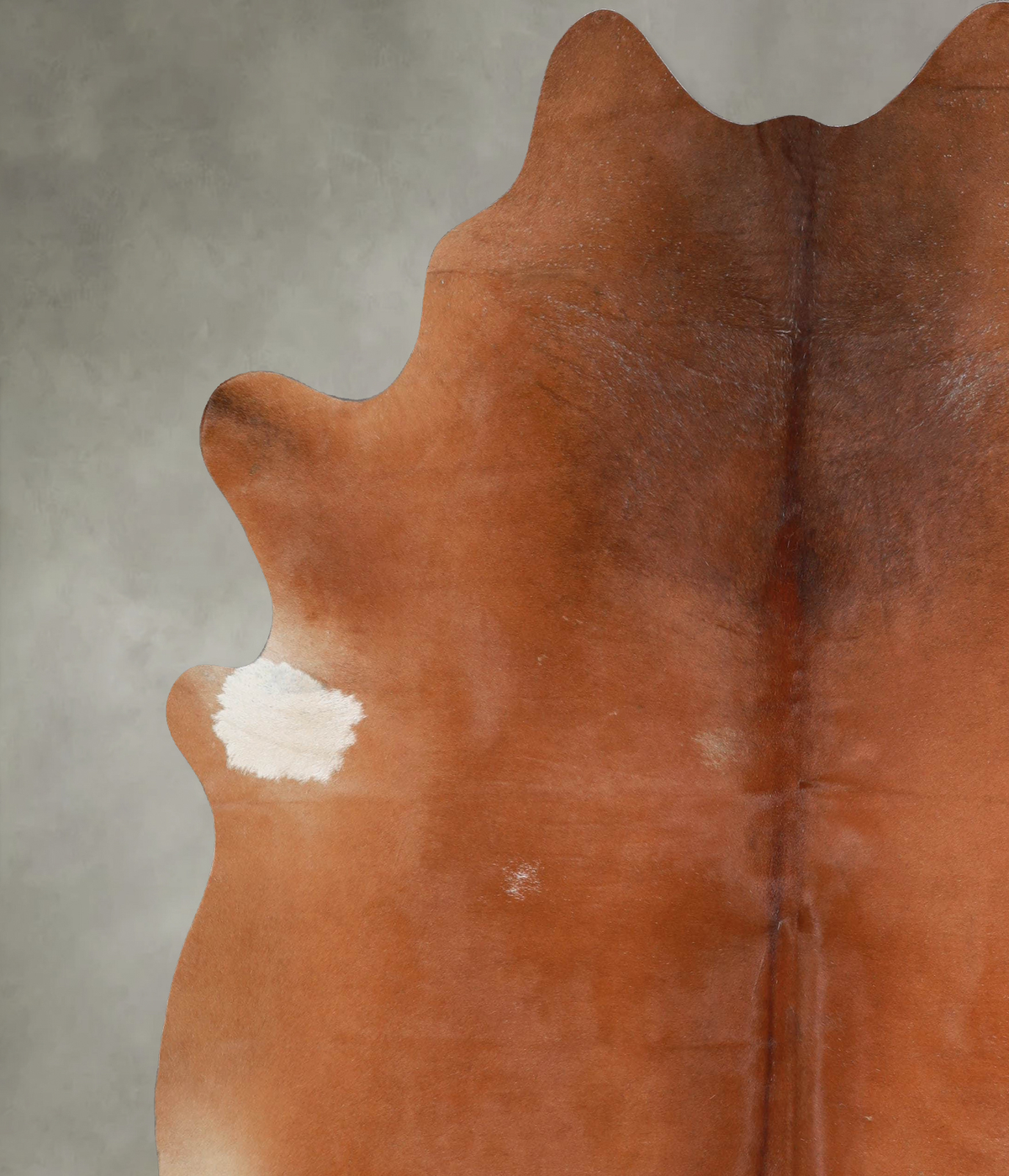 Solid Brown XX-Large Brazilian Cowhide Rug 7'10"H x 6'9"W #A53624 by Hudson Hides