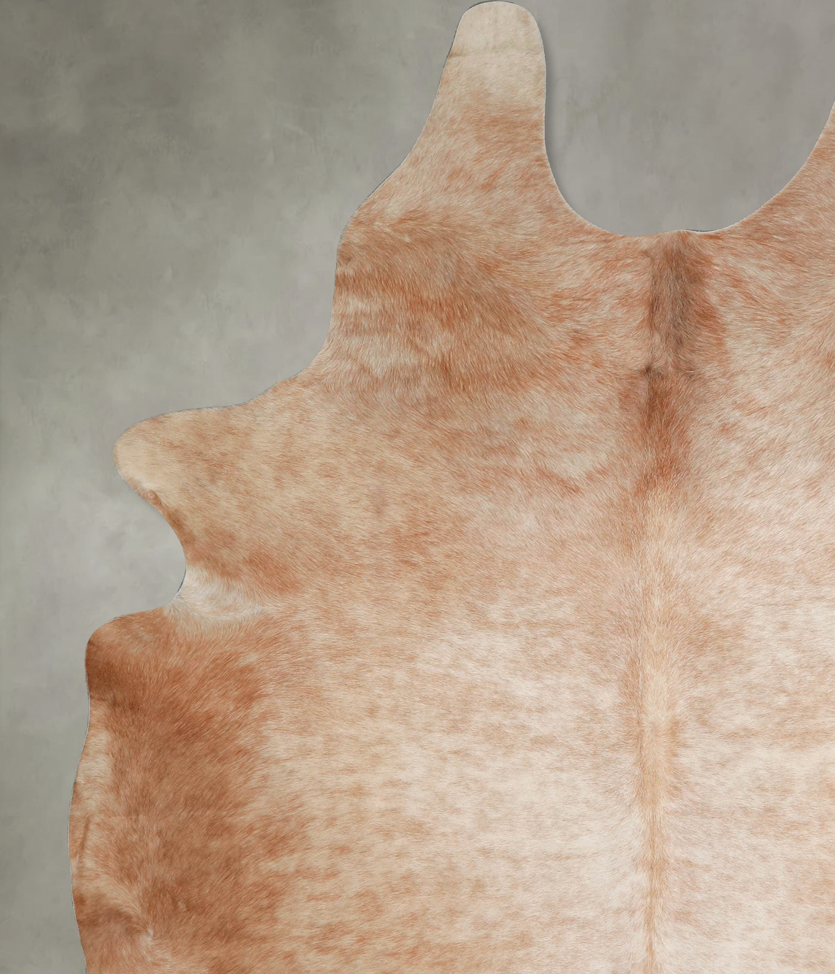 Light Caramel XX-Large Brazilian Cowhide Rug 8'2"H x 6'5"W #A53625 by Hudson Hides
