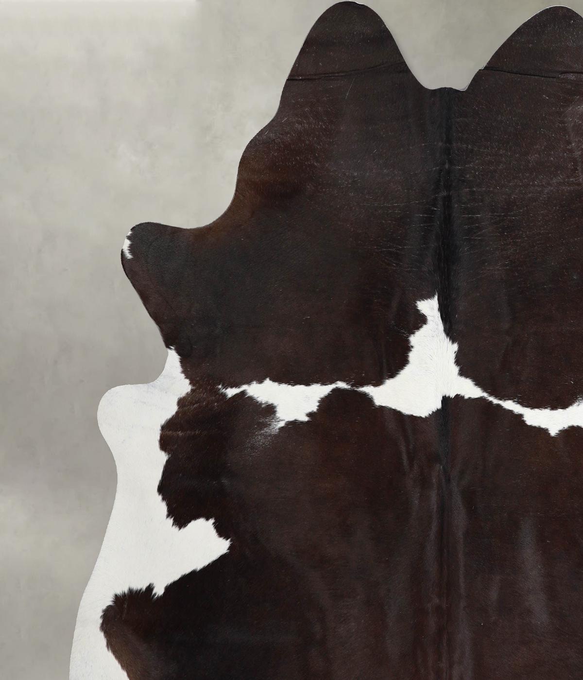 Chocolate and White X-Large Brazilian Cowhide Rug 6'11"H x 6'10"W #A53627 by Hudson Hides