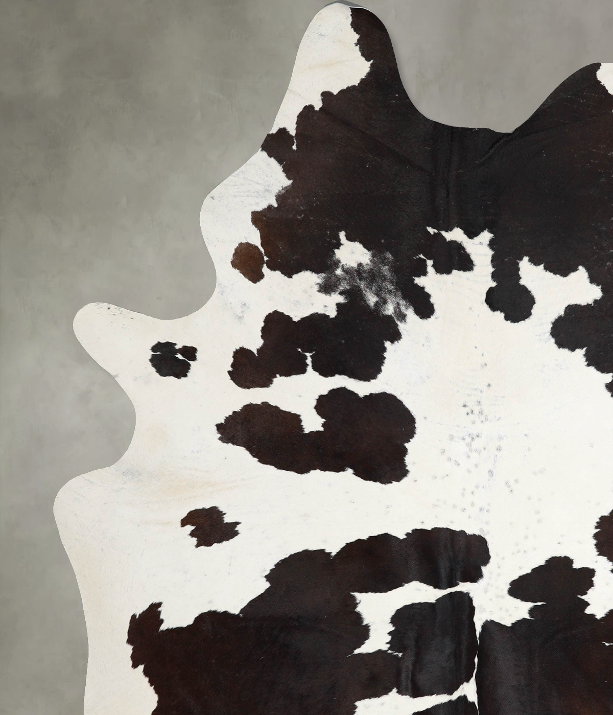 Chocolate and White X-Large Brazilian Cowhide Rug 7'10"H x 6'4"W #A53628 by Hudson Hides