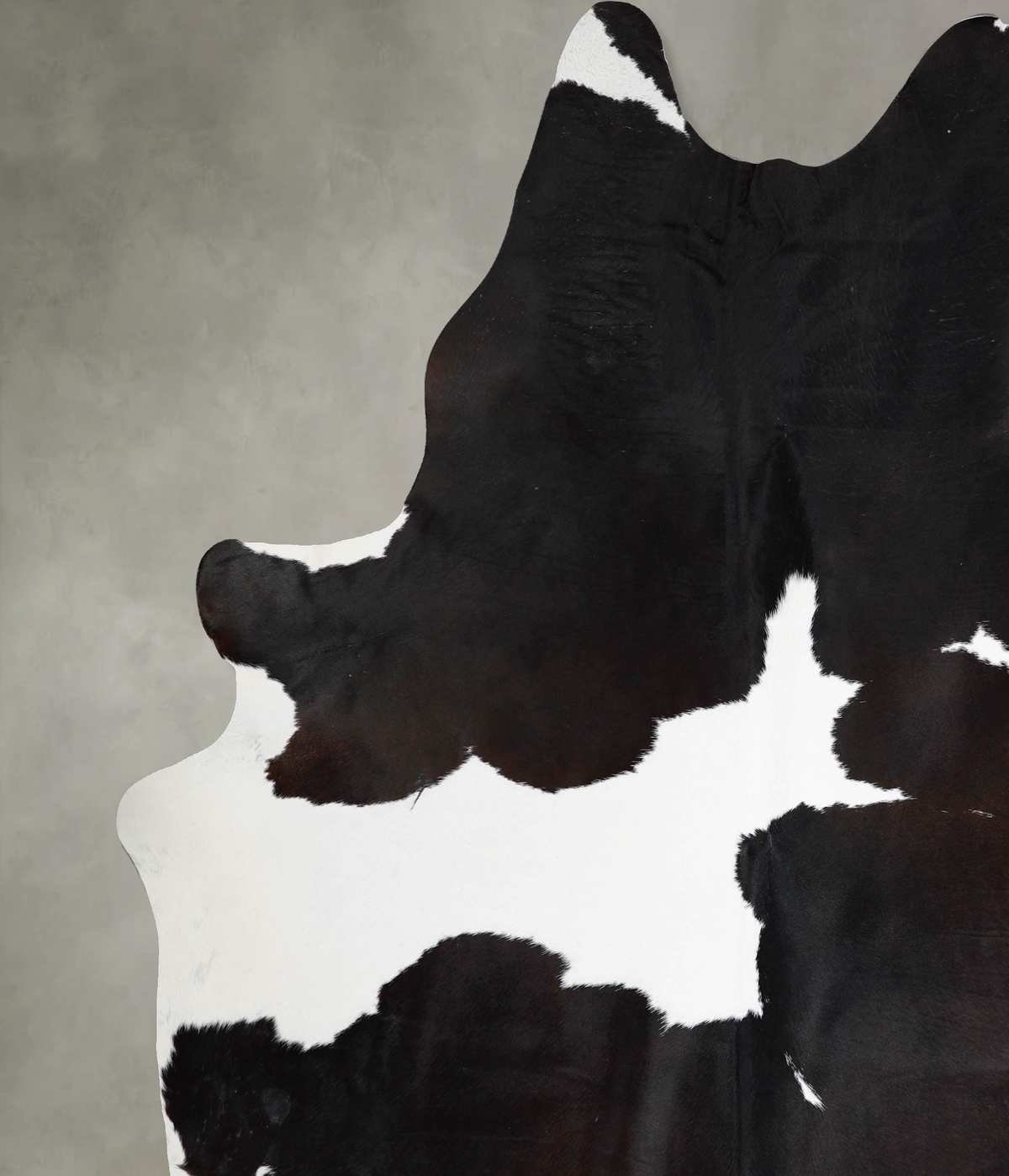 Chocolate and White XX-Large Brazilian Cowhide Rug 8'10"H x 7'4"W #A53629 by Hudson Hides