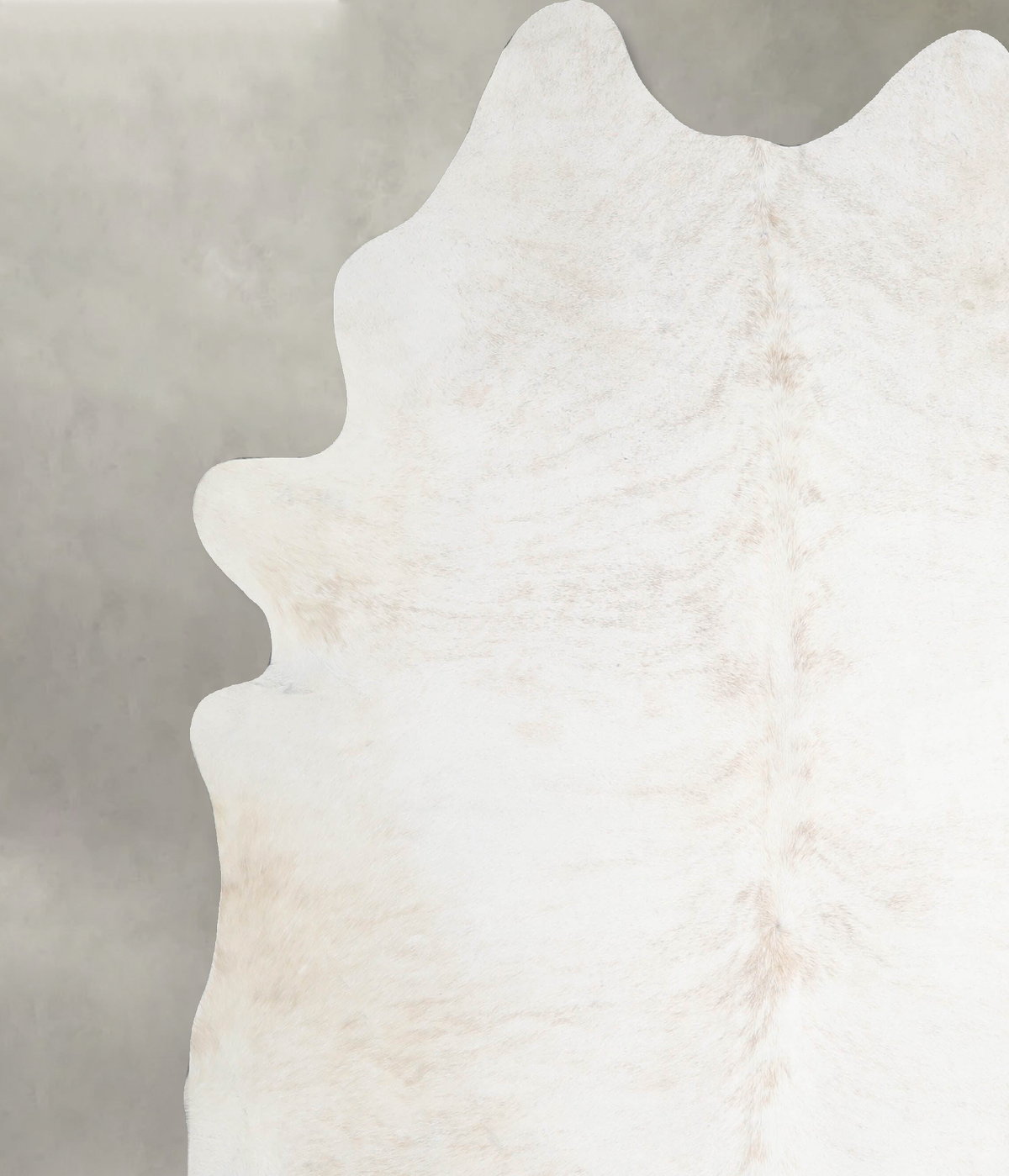 Ivory with Beige XX-Large Brazilian Cowhide Rug 7'9"H x 7'1"W #A53634 by Hudson Hides