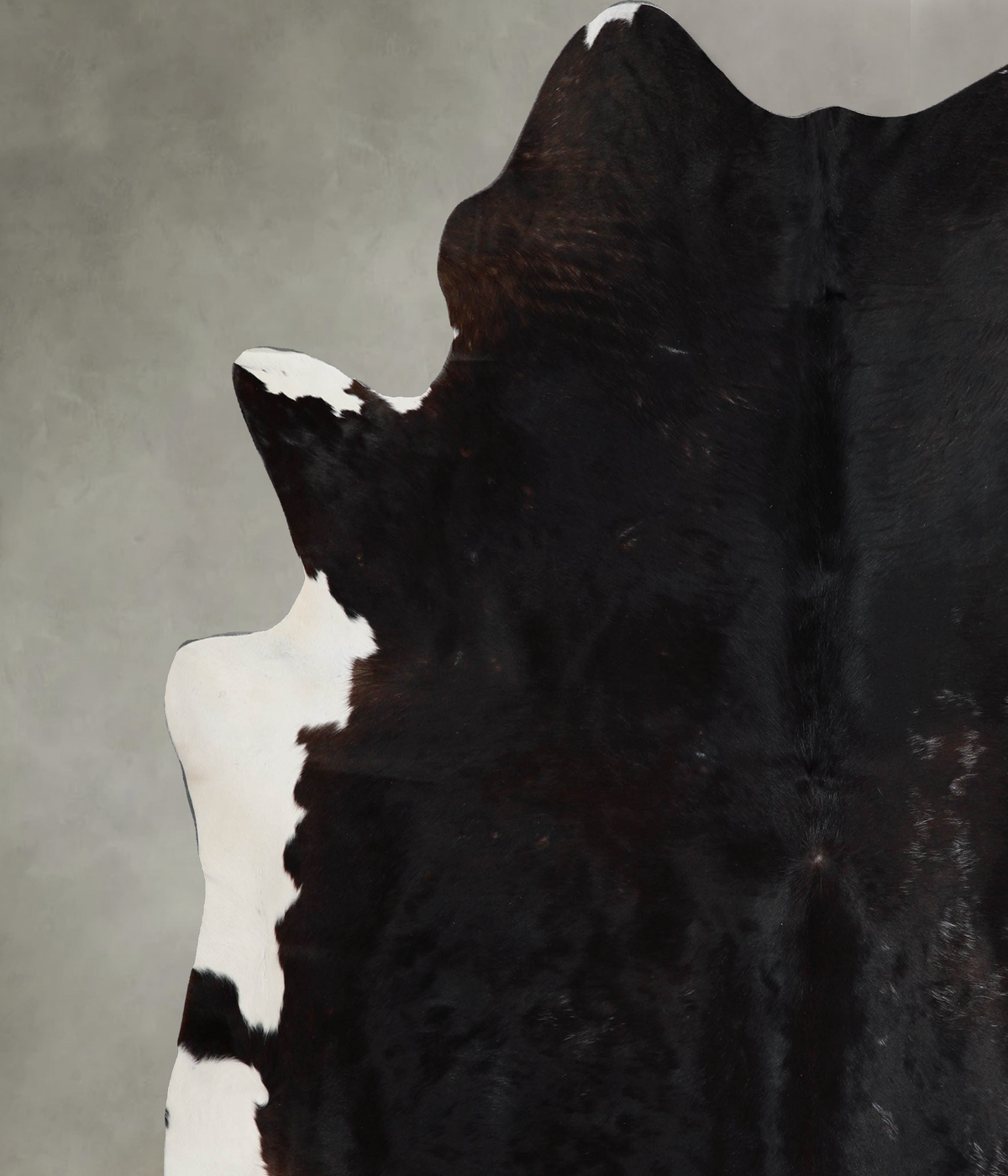 Chocolate and White XX-Large Brazilian Cowhide Rug 8'1"H x 7'3"W #A53640 by Hudson Hides