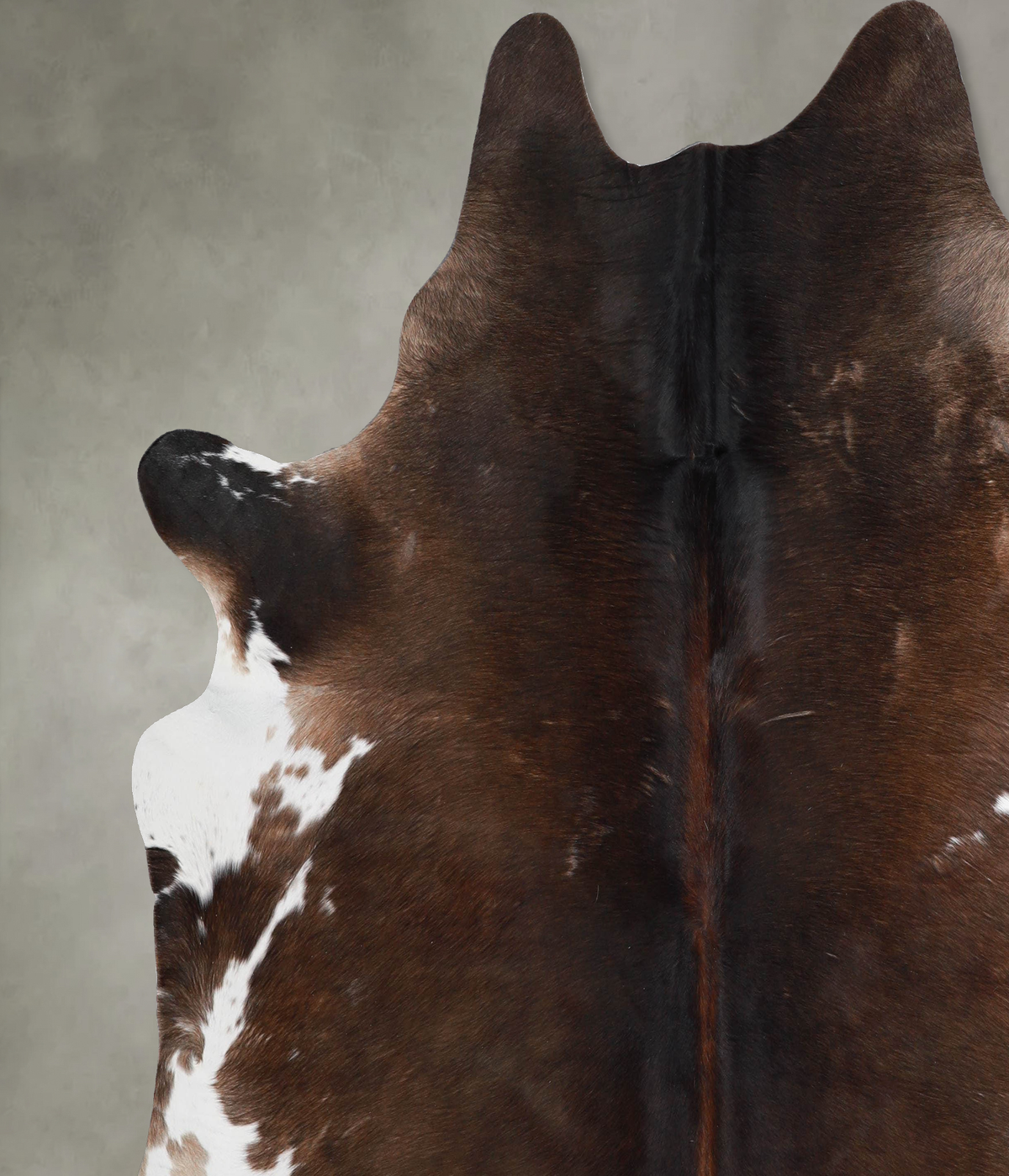 Chocolate and White XX-Large Brazilian Cowhide Rug 7'5"H x 7'7"W #A53648 by Hudson Hides