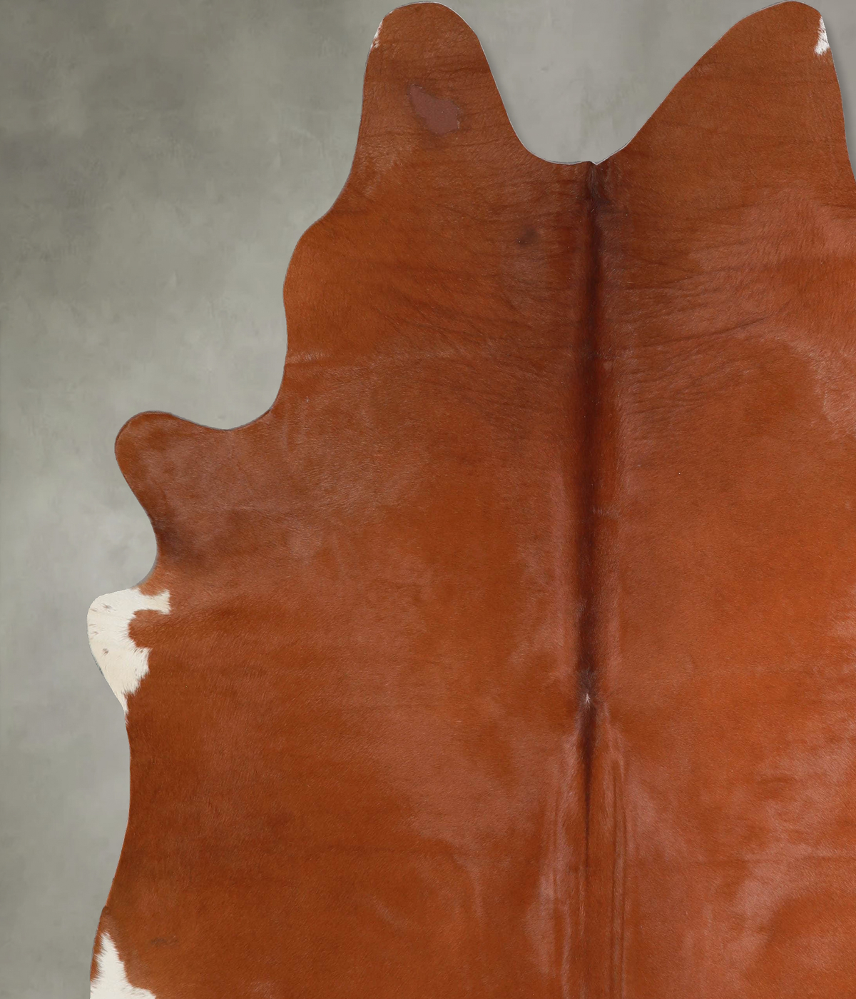 Solid Brown XX-Large Brazilian Cowhide Rug 8'1"H x 6'9"W #A53656 by Hudson Hides