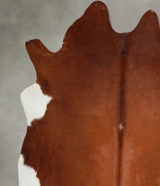 Brown and White Regular XX-Large Brazilian Cowhide Rug 7'11"H x 7'9"W #A53657 by Hudson Hides