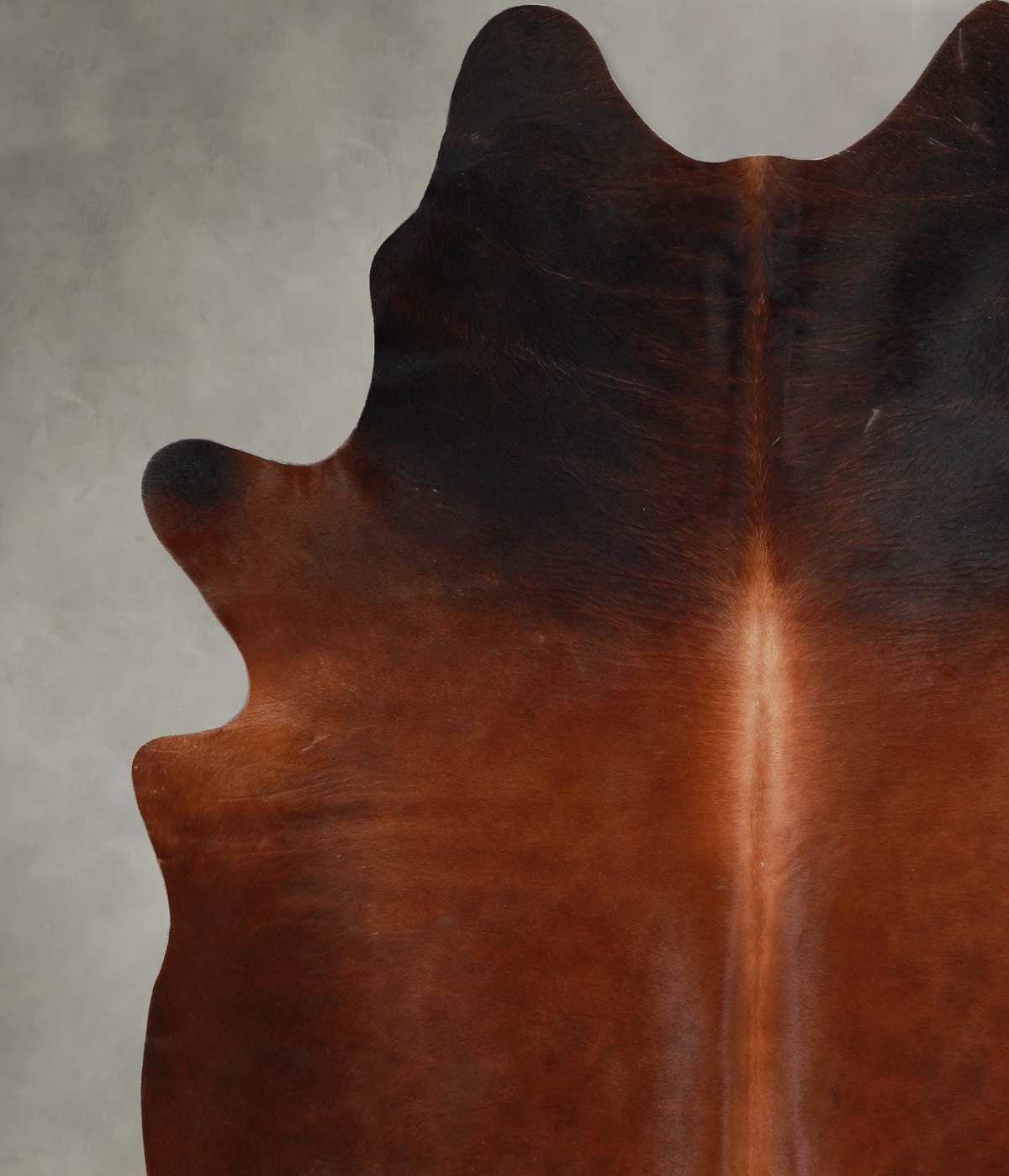 Warm Caramel X-Large Brazilian Cowhide Rug 7'5"H x 6'2"W #A53658 by Hudson Hides