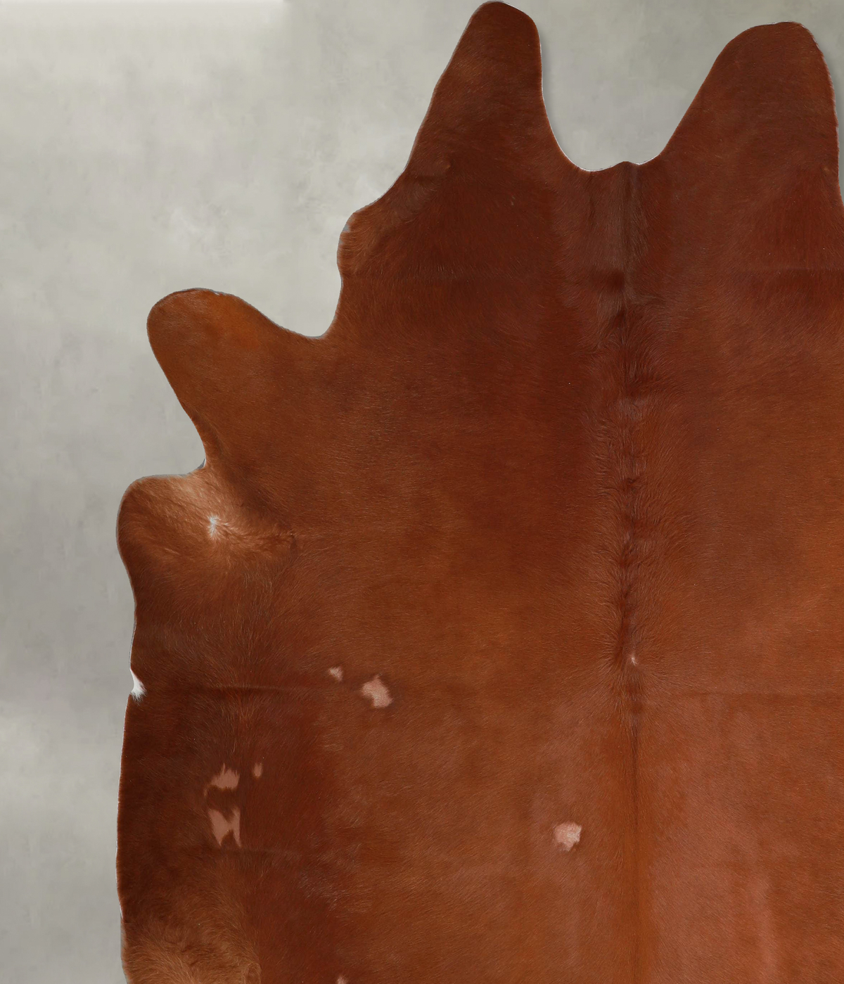 Solid Brown XX-Large Brazilian Cowhide Rug 8'1"H x 7'3"W #A53660 by Hudson Hides