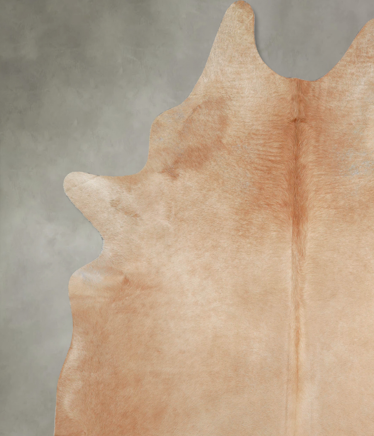 Beige XX-Large Brazilian Cowhide Rug 8'0"H x 6'8"W #A53677 by Hudson Hides