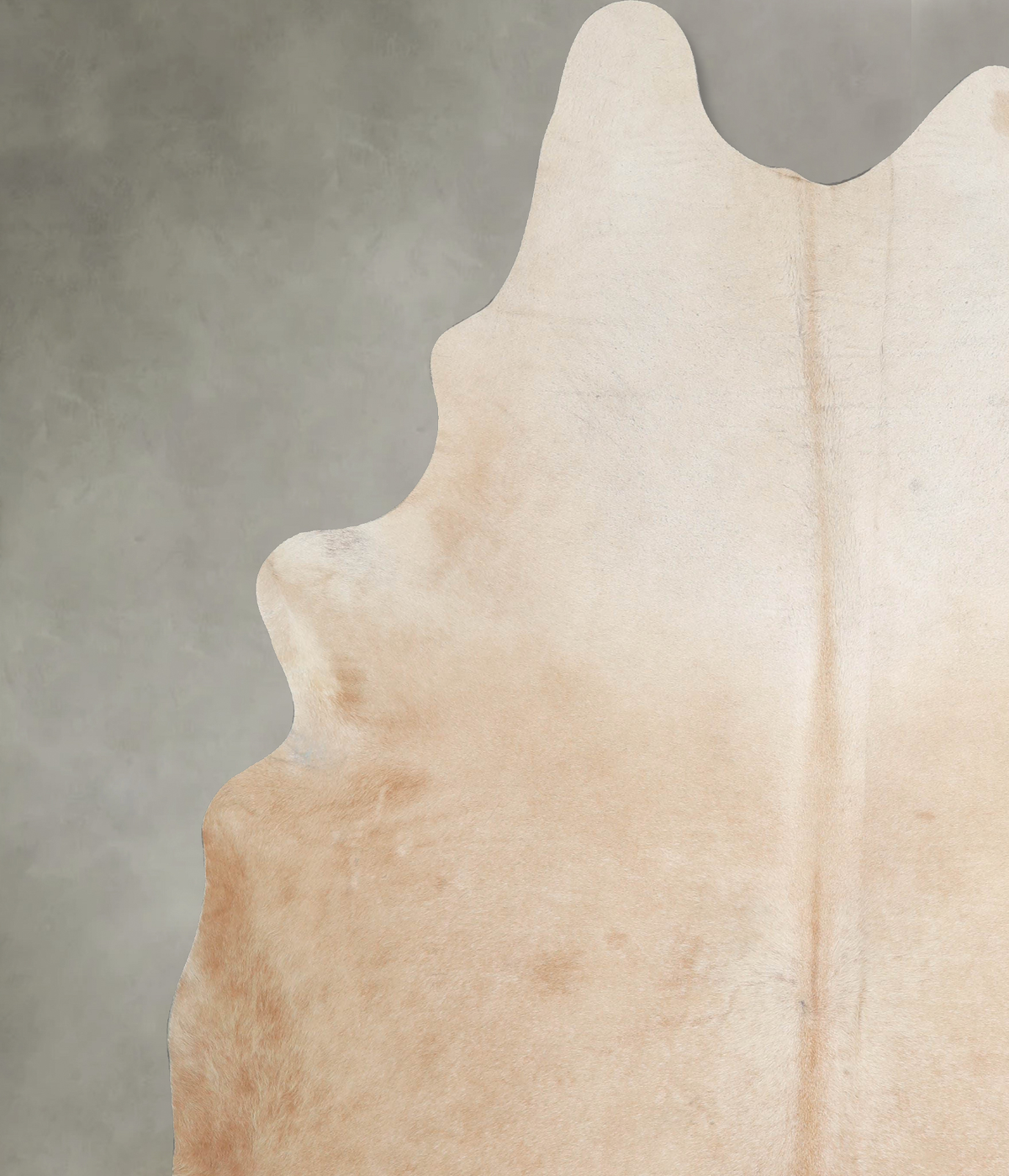 Beige XX-Large Brazilian Cowhide Rug 8'2"H x 7'3"W #A53678 by Hudson Hides
