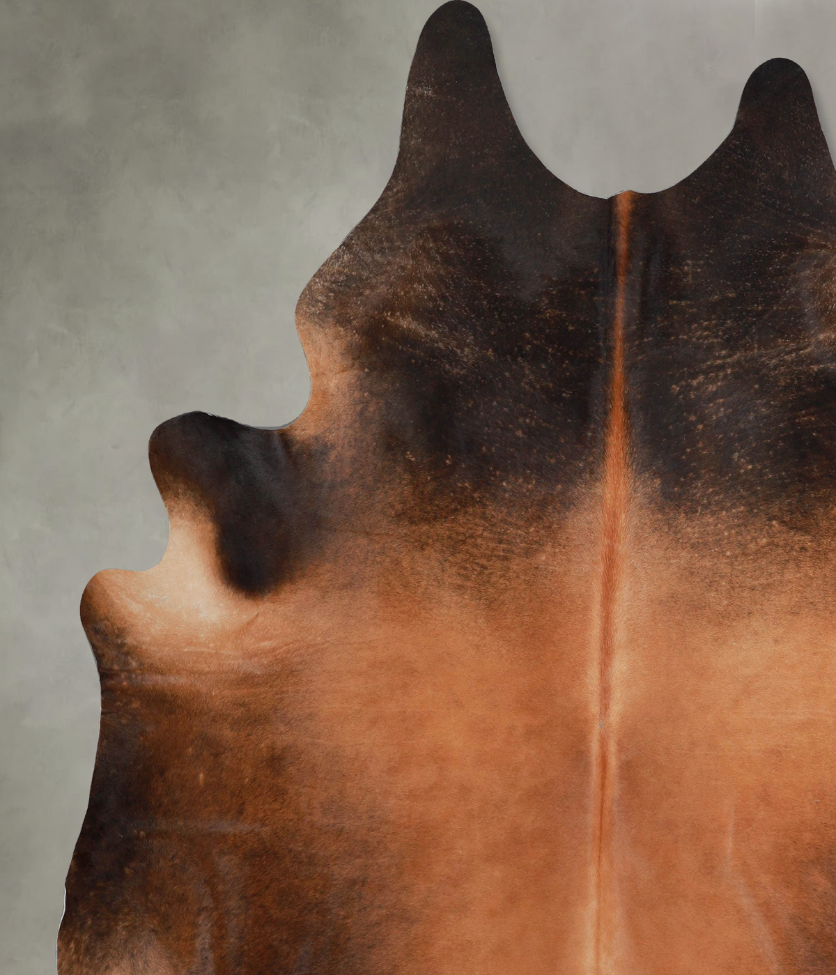 Warm Caramel XX-Large Brazilian Cowhide Rug 8'8"H x 7'4"W #A53683 by Hudson Hides