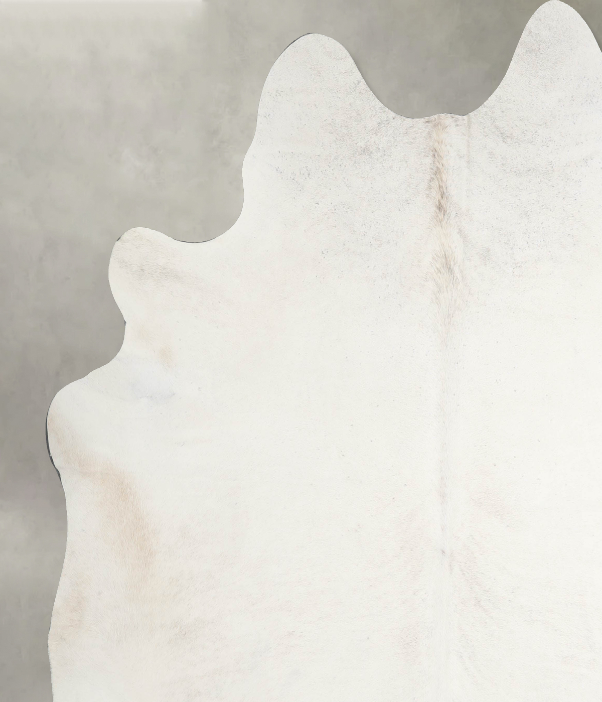 Ivory with Beige XX-Large Brazilian Cowhide Rug 7'10"H x 7'2"W #A53695 by Hudson Hides