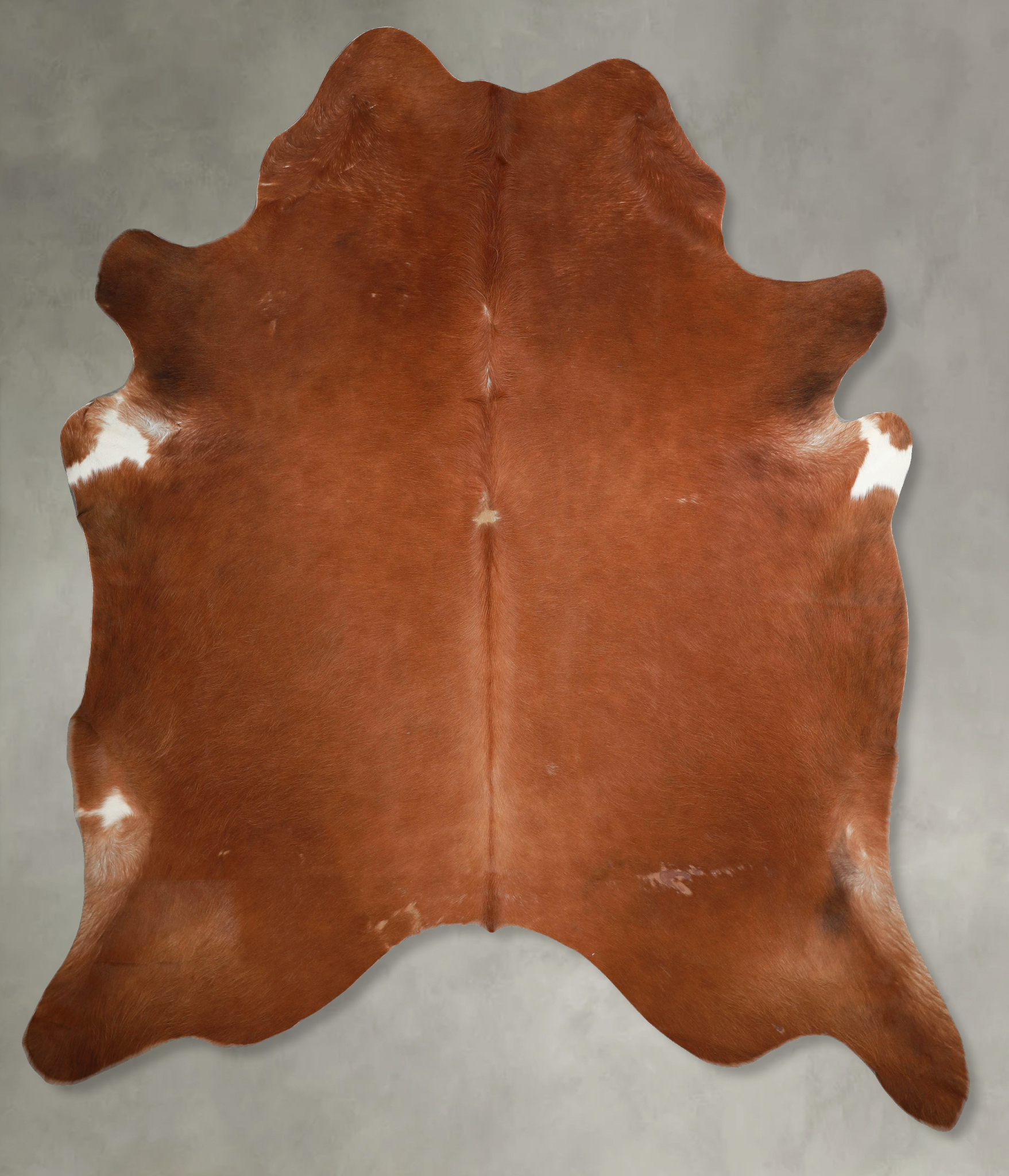 Solid Brown Cowhide Rug #A53698