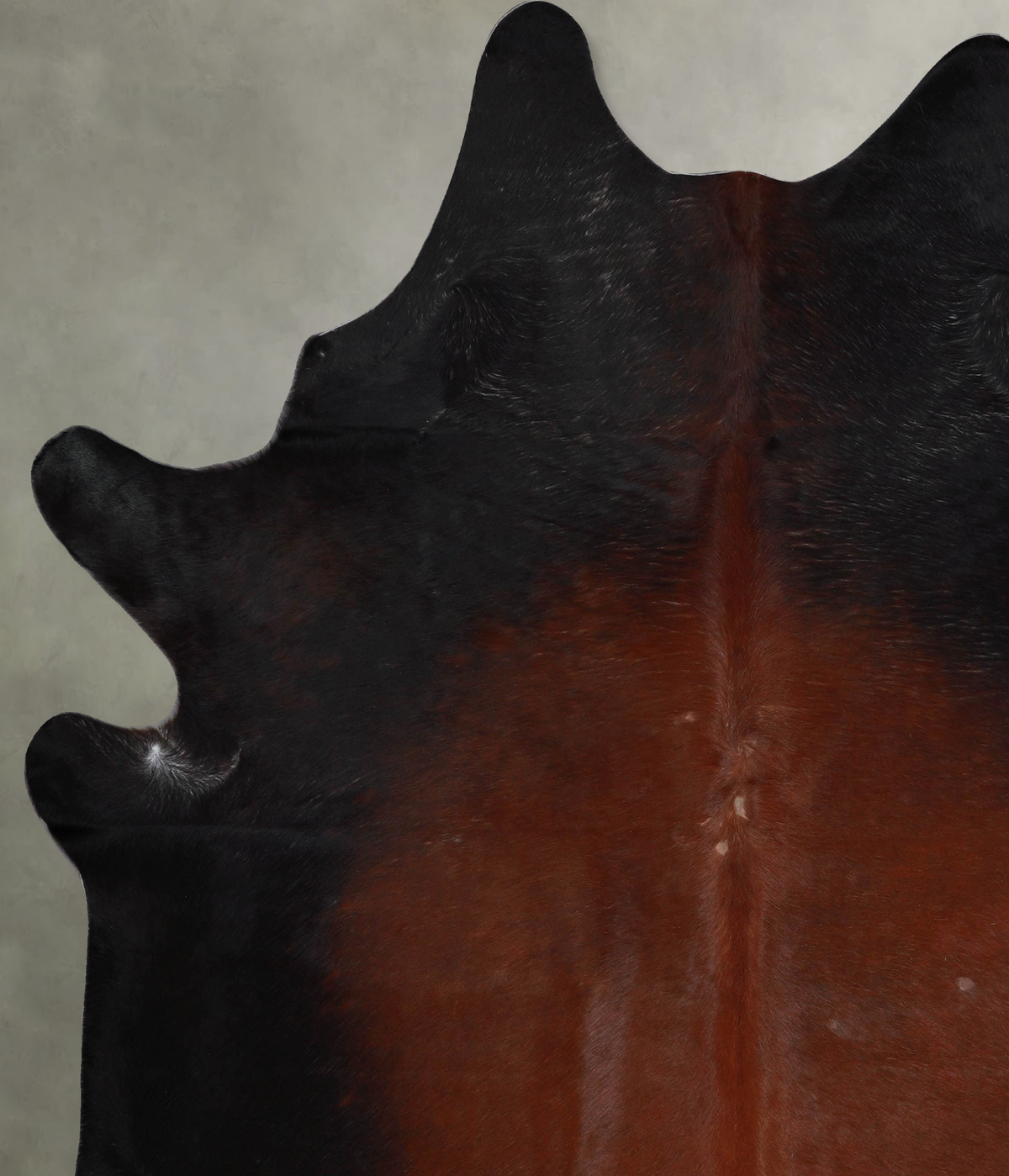 Warm Caramel XX-Large Brazilian Cowhide Rug 8'2"H x 6'9"W #A53701 by Hudson Hides
