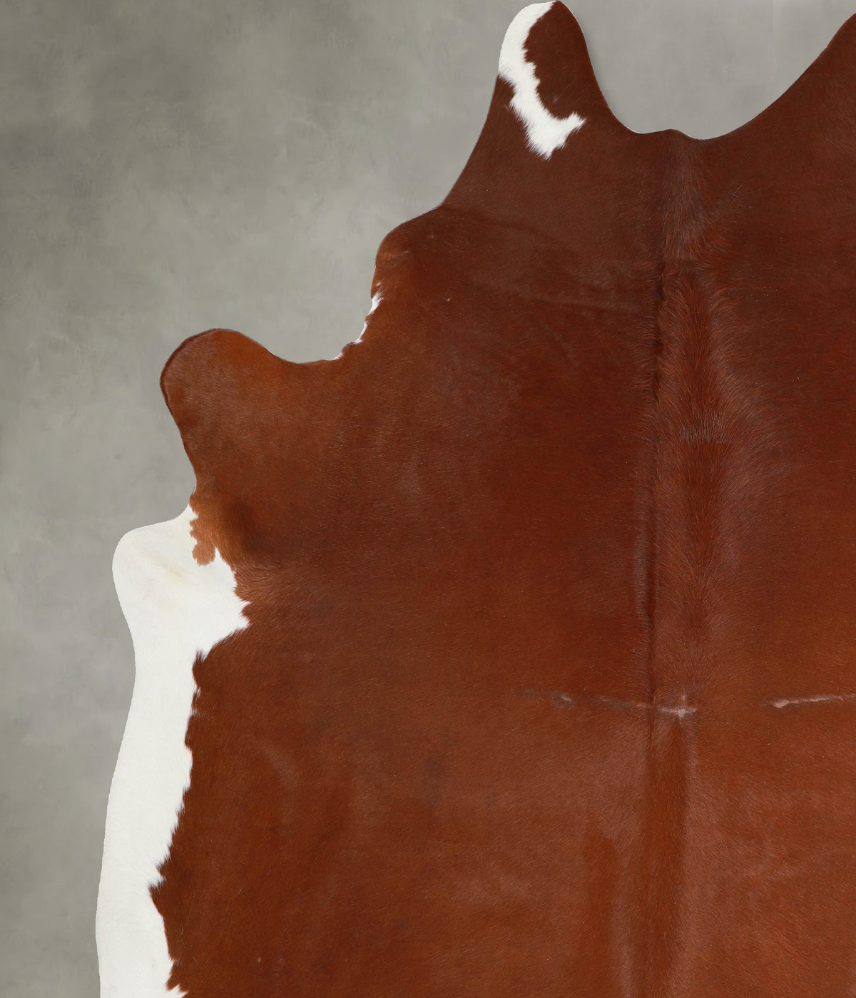 Brown and White Regular XX-Large Brazilian Cowhide Rug 8'1"H x 7'1"W #A53703 by Hudson Hides