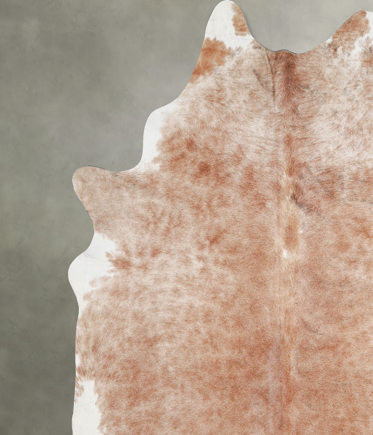 Light Caramel XX-Large Brazilian Cowhide Rug 8'1"H x 7'1"W #A53709 by Hudson Hides