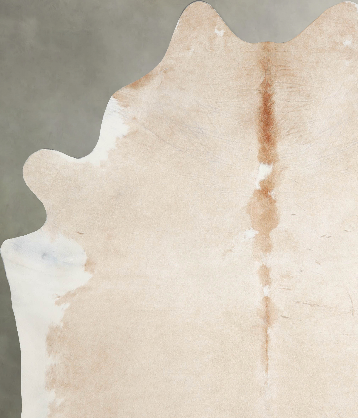 Palomino X-Large Brazilian Cowhide Rug 7'6"H x 6'3"W #A53713 by Hudson Hides