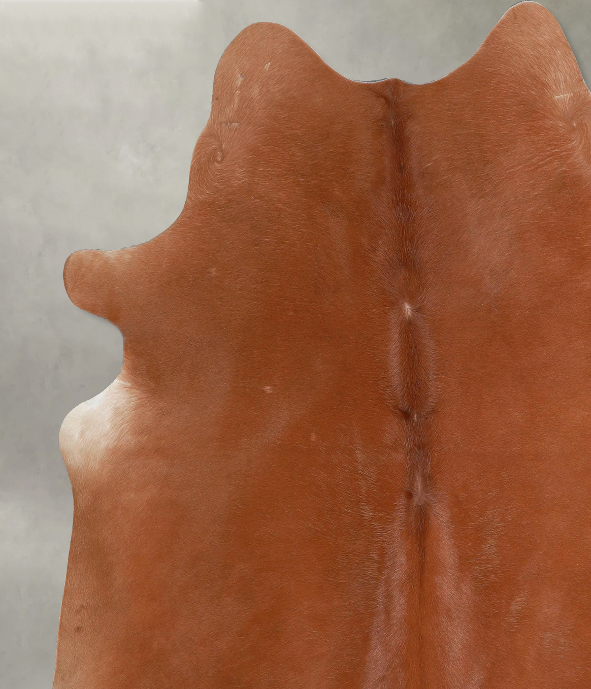Solid Brown X-Large Brazilian Cowhide Rug 7'2"H x 6'5"W #A53715 by Hudson Hides