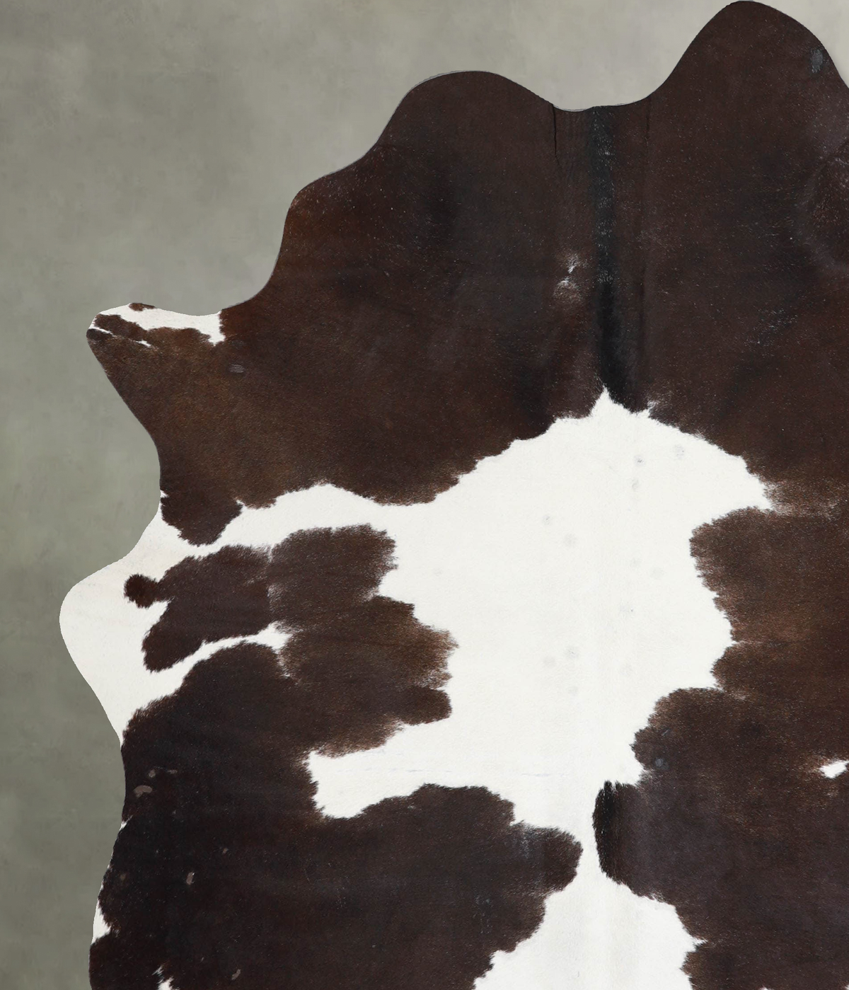 Chocolate and White X-Large Brazilian Cowhide Rug 7'4"H x 5'11"W #A53719 by Hudson Hides