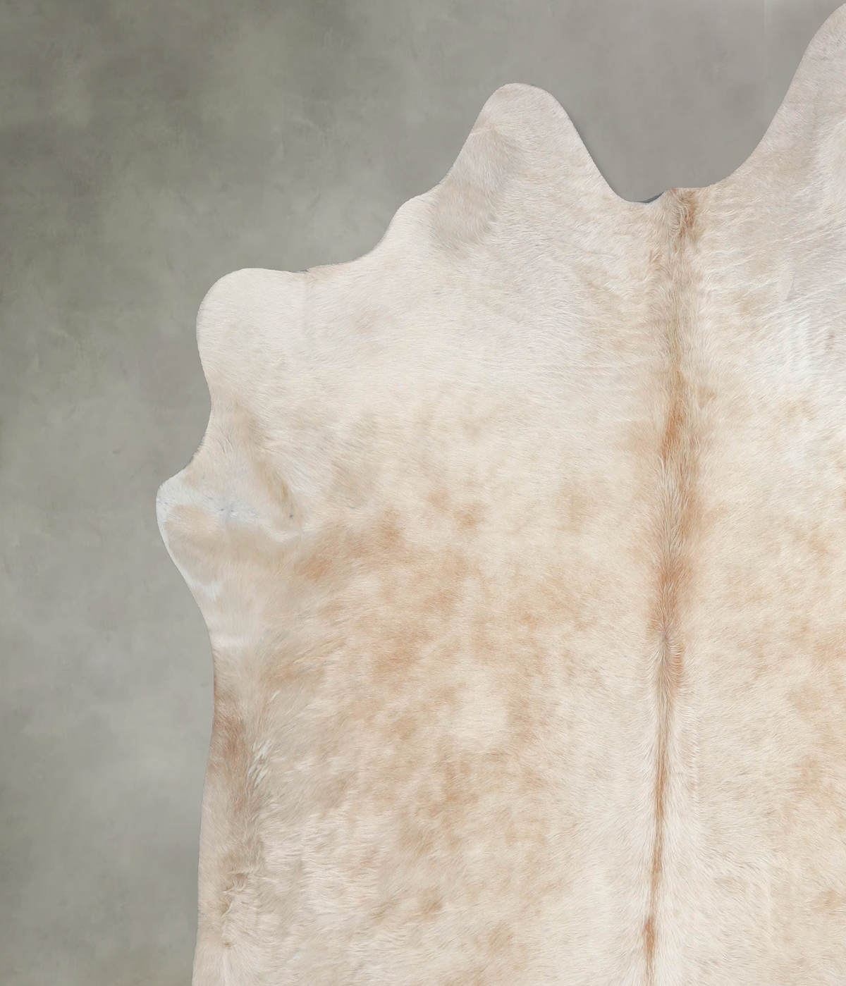 Champagne XX-Large Brazilian Cowhide Rug 7'2"H x 7'0"W #A53723 by Hudson Hides
