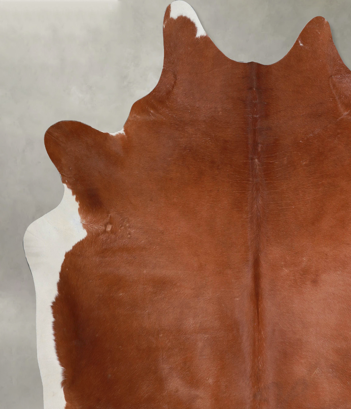 Brown and White Regular XX-Large Brazilian Cowhide Rug 7'9"H x 7'1"W #A53726 by Hudson Hides