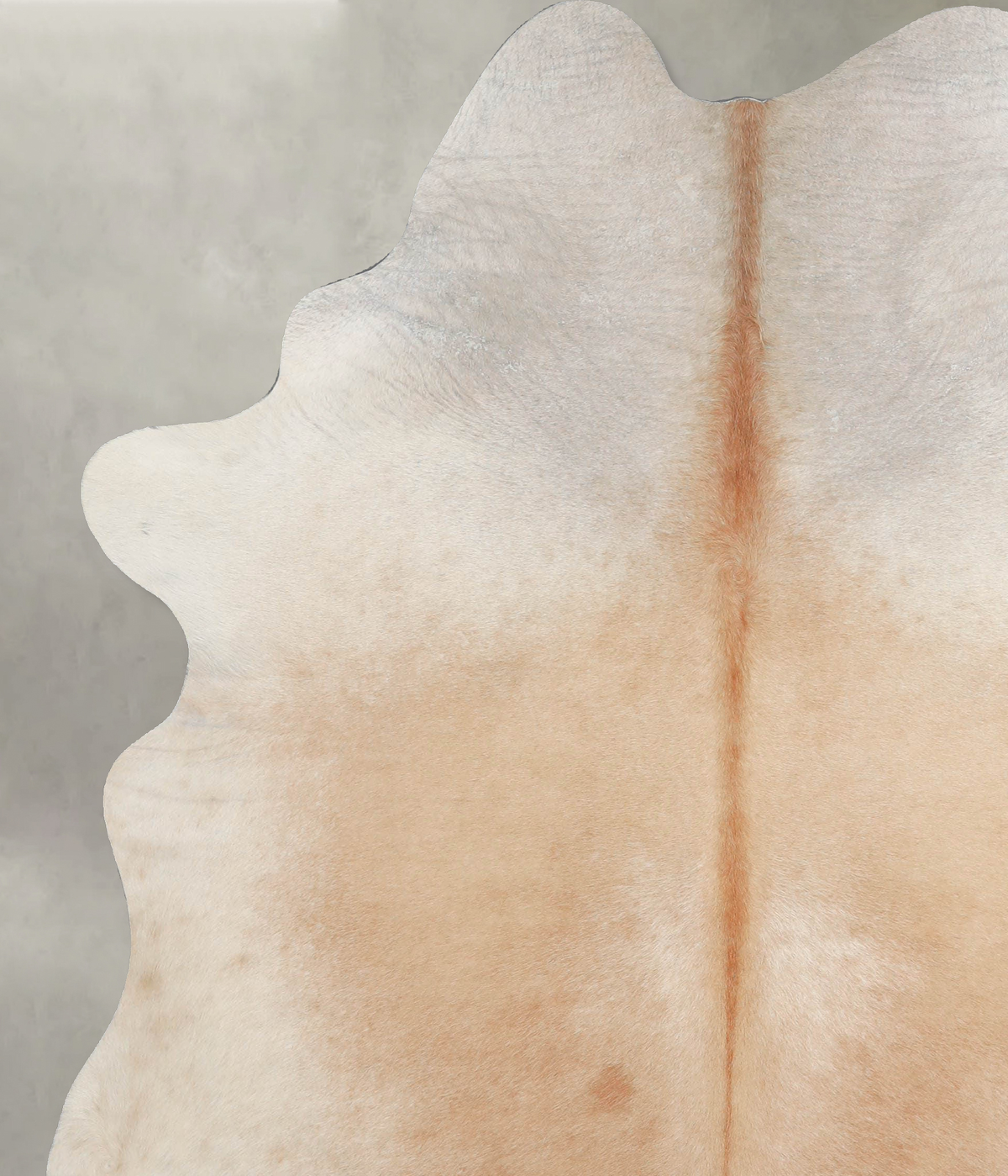 Light Caramel X-Large Brazilian Cowhide Rug 7'4"H x 5'11"W #A53737 by Hudson Hides