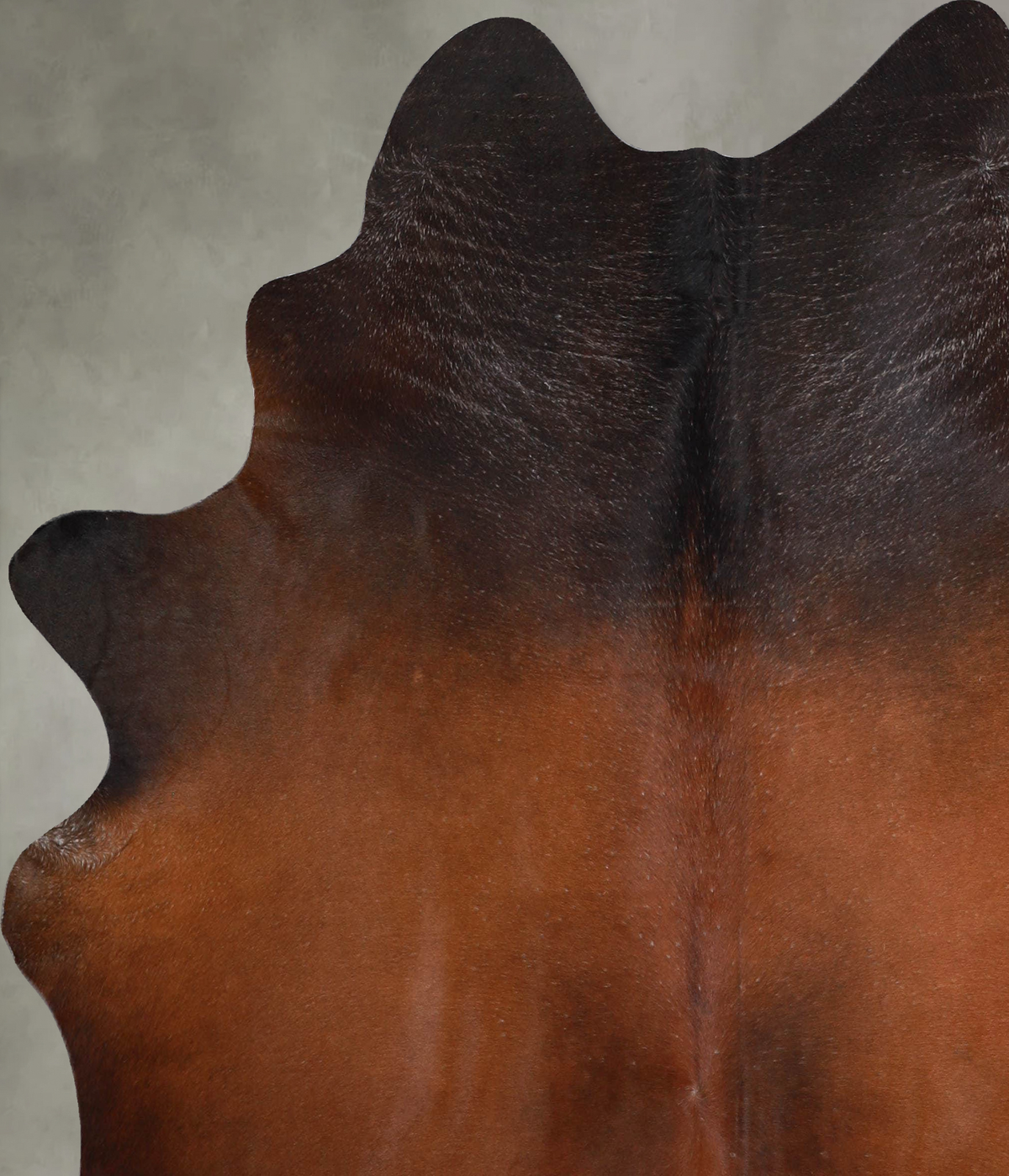 Warm Caramel X-Large Brazilian Cowhide Rug 6'8"H x 6'3"W #A53738 by Hudson Hides