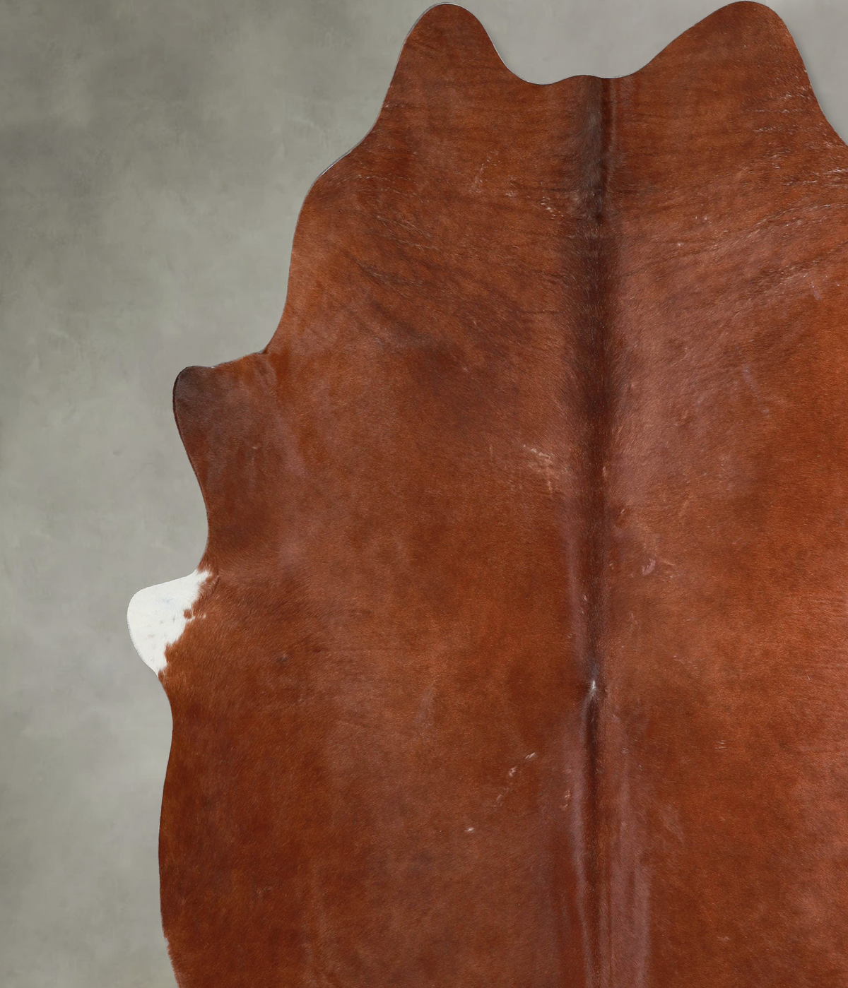 Solid Brown XX-Large Brazilian Cowhide Rug 8'1"H x 7'5"W #A53765 by Hudson Hides