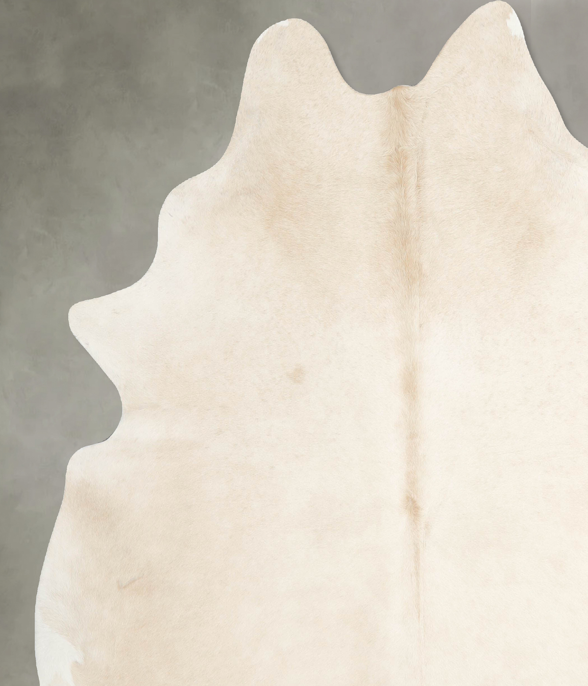 Palomino X-Large Brazilian Cowhide Rug 7'4"H x 6'6"W #A53766 by Hudson Hides