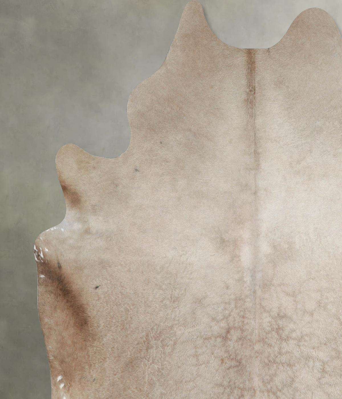 Champagne XX-Large Brazilian Cowhide Rug 8'6"H x 7'6"W #A53770 by Hudson Hides